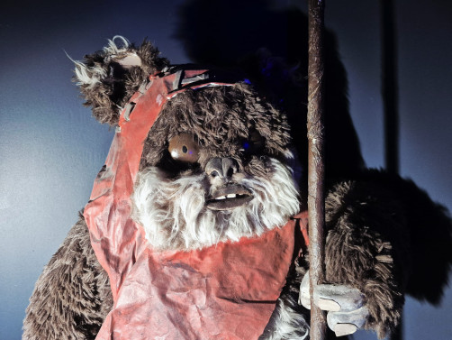 Photo with a sneak peek of the Galaxy of Secrets room